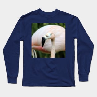 Flamingo Long Sleeve T-Shirt